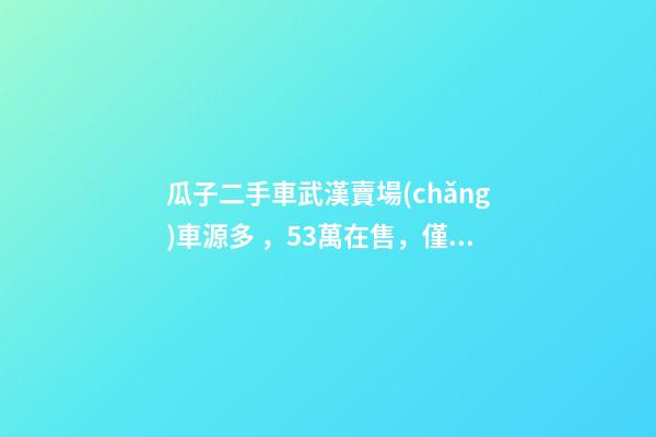 瓜子二手車武漢賣場(chǎng)車源多，5.3萬在售，僅奧迪品牌就有3000多輛